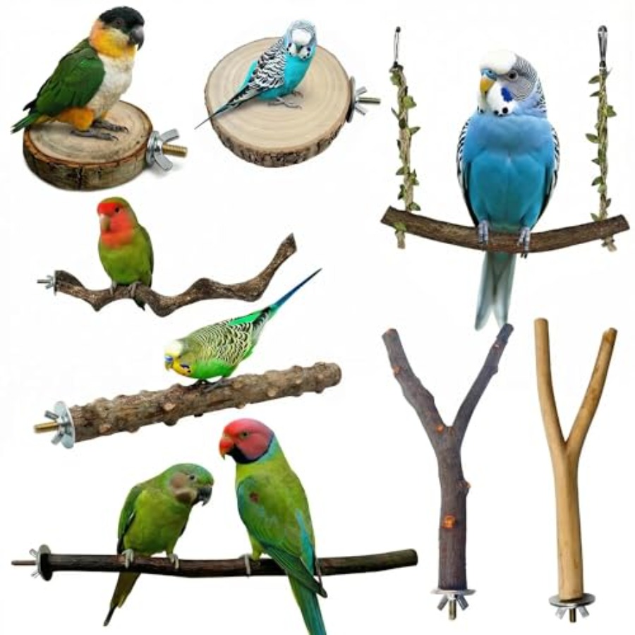 Health & Wellness Fairs - 8PCS natural wood bird perches for