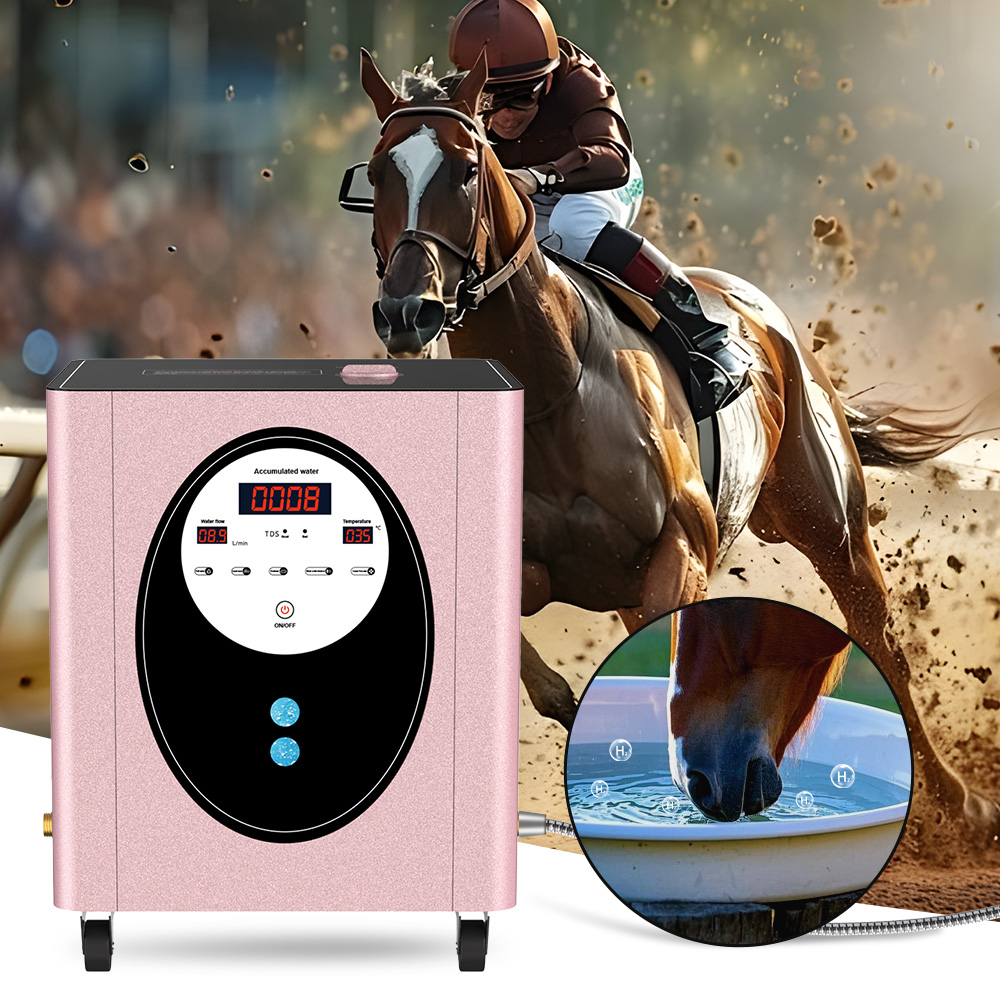 SUYZEKO Whole House Hydrogen W - Health Wellness Spa recension och pris